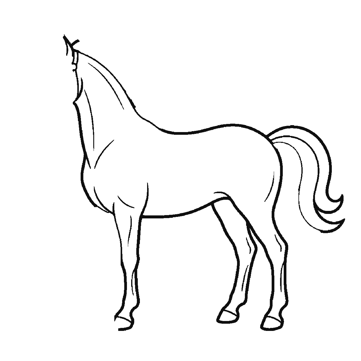 Passo 3 di 6: Passo 3 di 6: Scheda di disegno passo passo: un cavallo in piedi visto di profilo, con un occhio rotondo e la pupilla piena, una briglia intorno al muso, una criniera fluente e una coda fluente, contorni neri su bianco.