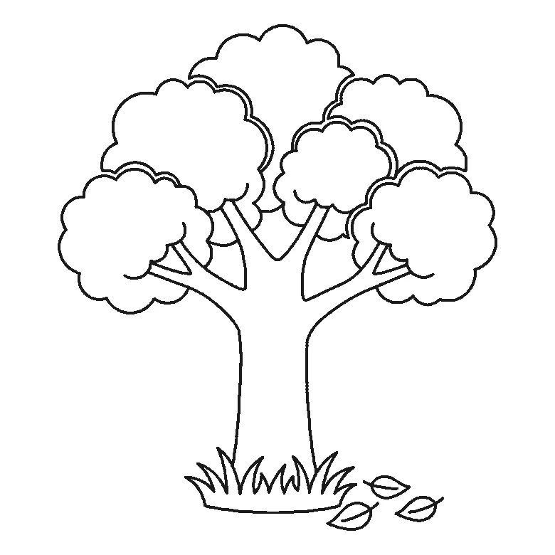 Scheda di disegno passo passo: un albero dalla chioma folta, con un tronco spesso che si dirama verso l'alto, cinque ciuffi di fogliame arrotondati, un ciuffo d'erba alla base e tre foglie cadute accanto ad esso, contorni neri su bianco.