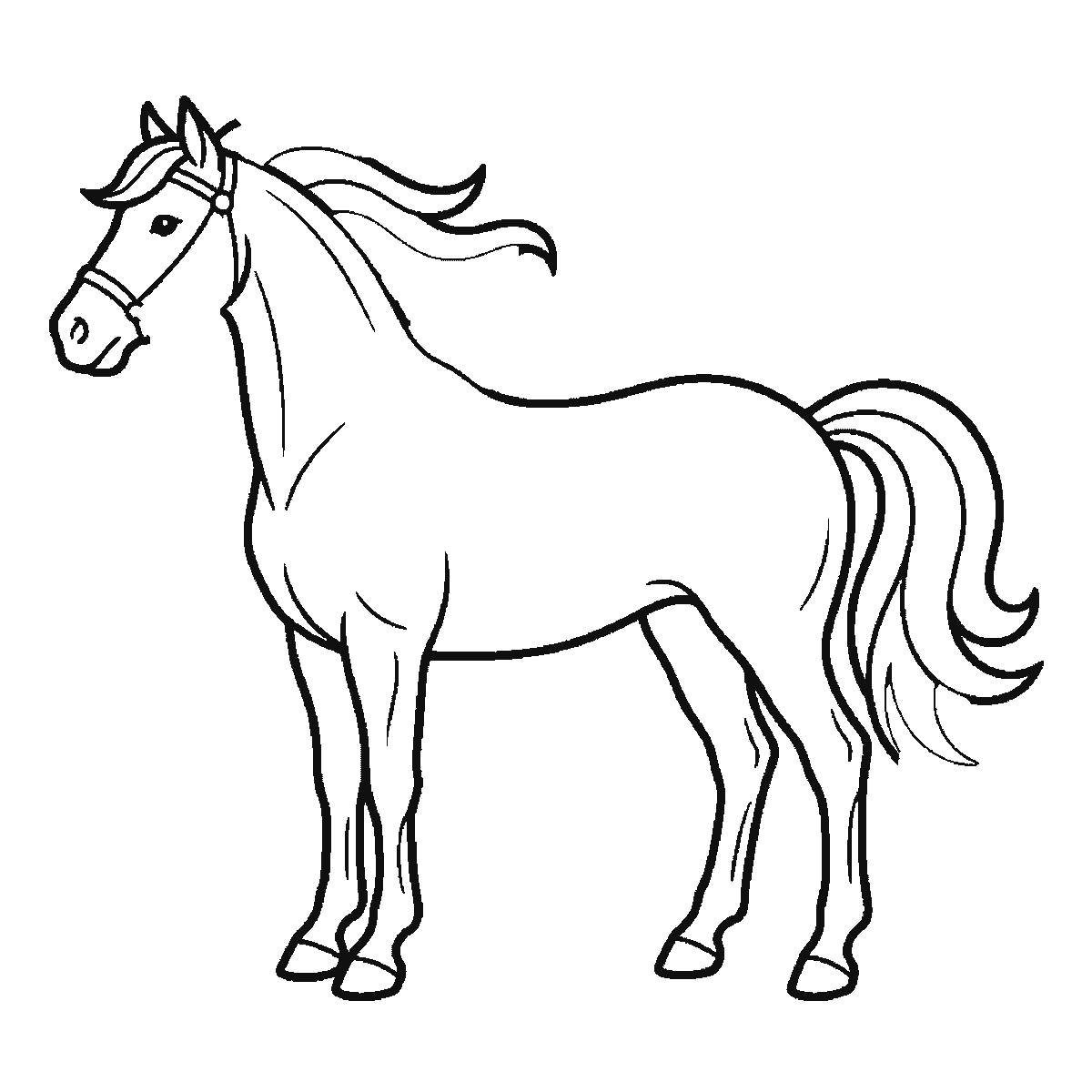 Passo 5 di 6: Passo 5 di 6: Scheda di disegno passo passo: un cavallo in piedi visto di profilo, con un occhio rotondo e la pupilla piena, una briglia intorno al muso, una criniera fluente e una coda fluente, contorni neri su bianco.