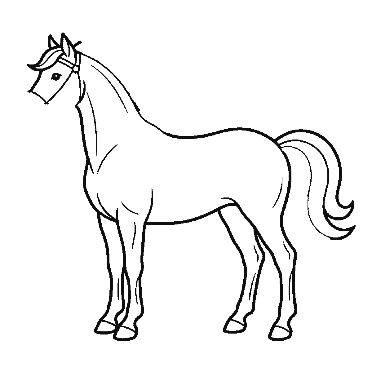 Passo 4 di 6: Passo 4 di 6: Scheda di disegno passo passo: un cavallo in piedi visto di profilo, con un occhio rotondo e la pupilla piena, una briglia intorno al muso, una criniera fluente e una coda fluente, contorni neri su bianco.